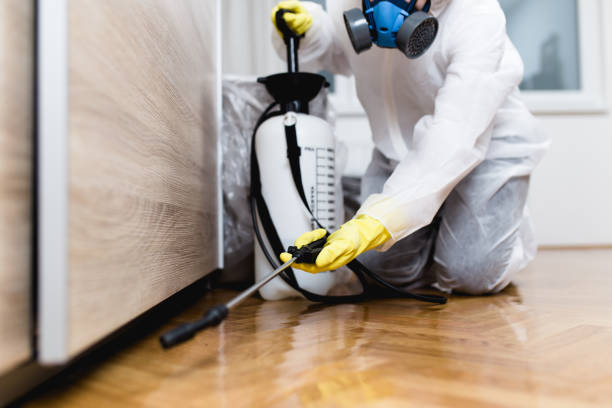 Best Flea Control Services  in Bono, AR