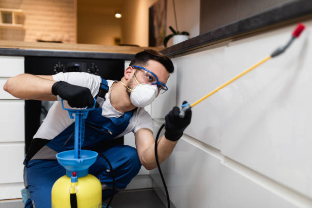 Best Affordable Pest Control Services  in Bono, AR