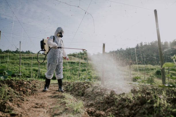 Best Pest Prevention Services  in Bono, AR