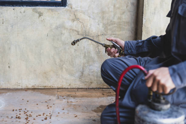 Pest Control for Restaurants in Bono, AR
